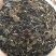 福鼎白茶陈年老白茶