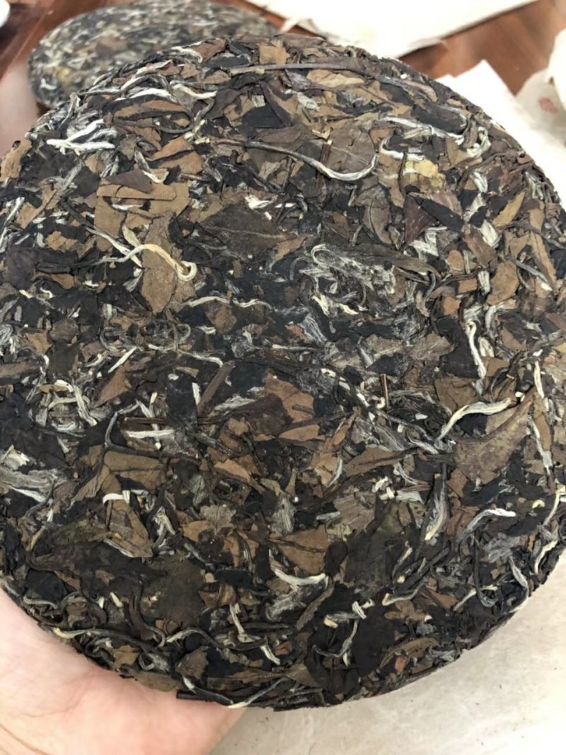 福鼎白茶陈年老白茶