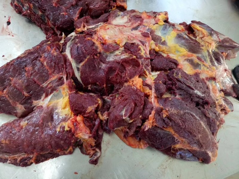 蒙古国草原生态马肉，四分体马肉，冷冻马肉