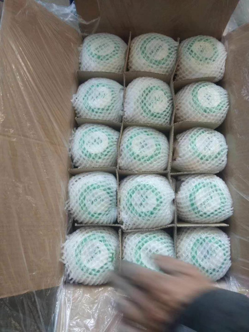 推荐黄元帅苹果辽宁葫芦岛产地直供量大从优