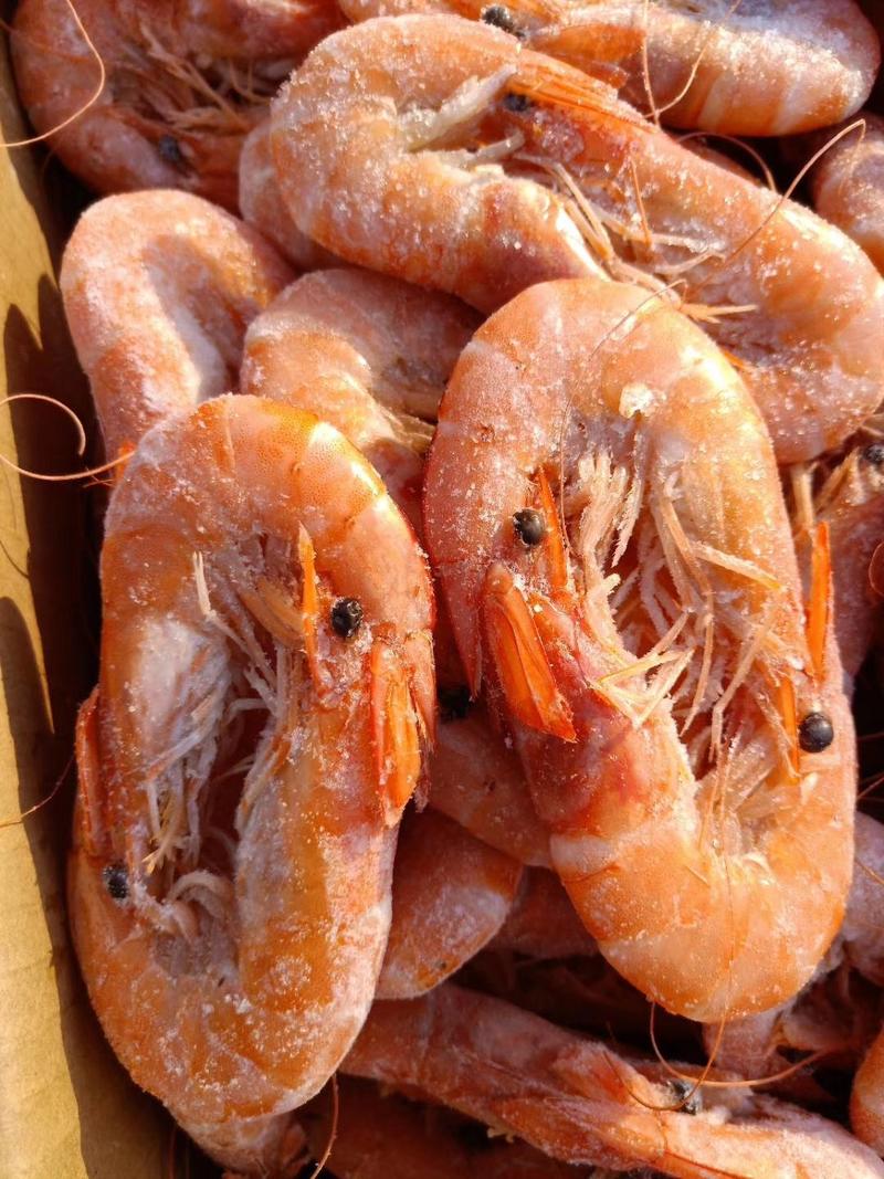 冻货山东水产冰鲜冻盘对虾23一斤大量批发