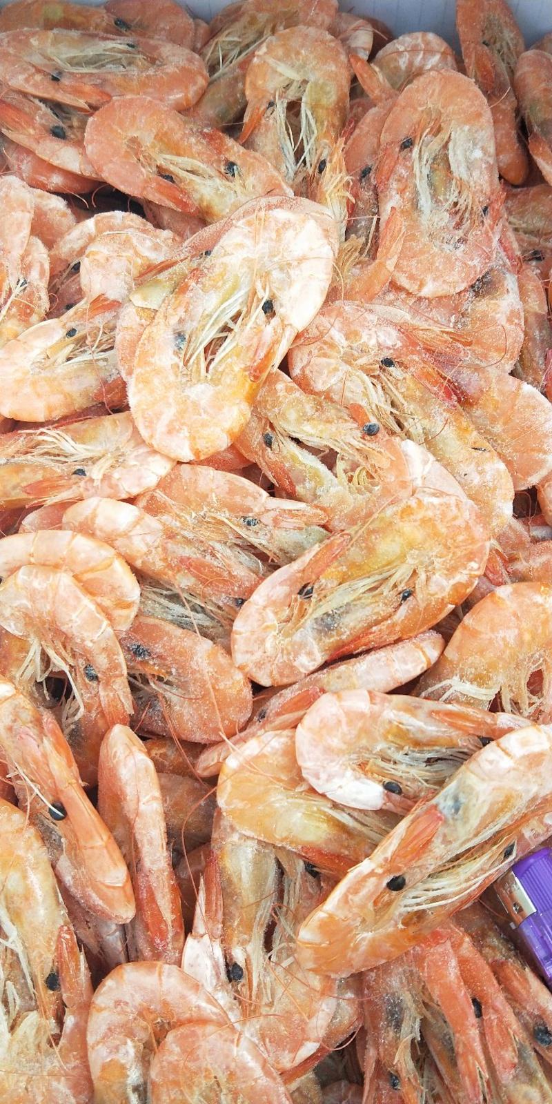 冻货山东水产冰鲜冻盘对虾23一斤大量批发