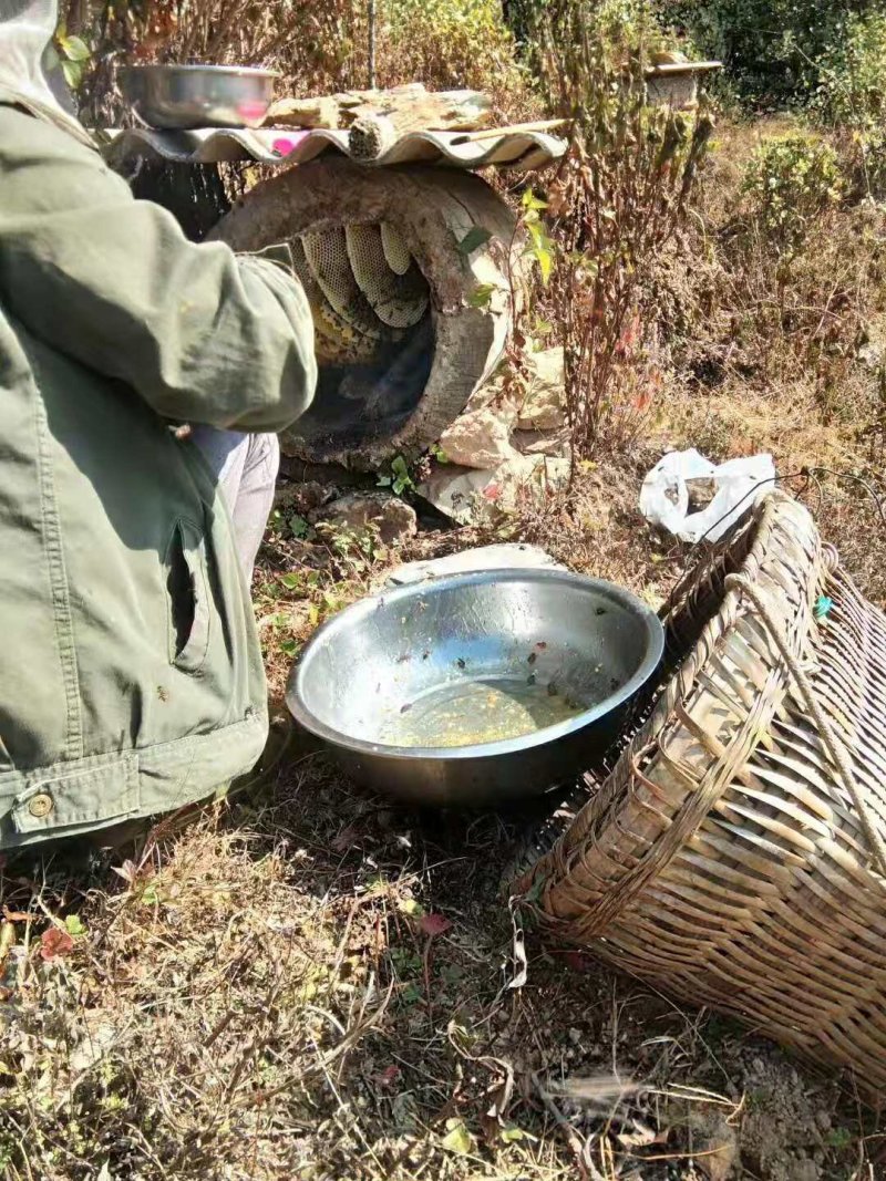 云南纯野生蜂蜜，假一赔十，一斤装，进期量稍大，价位优美。
