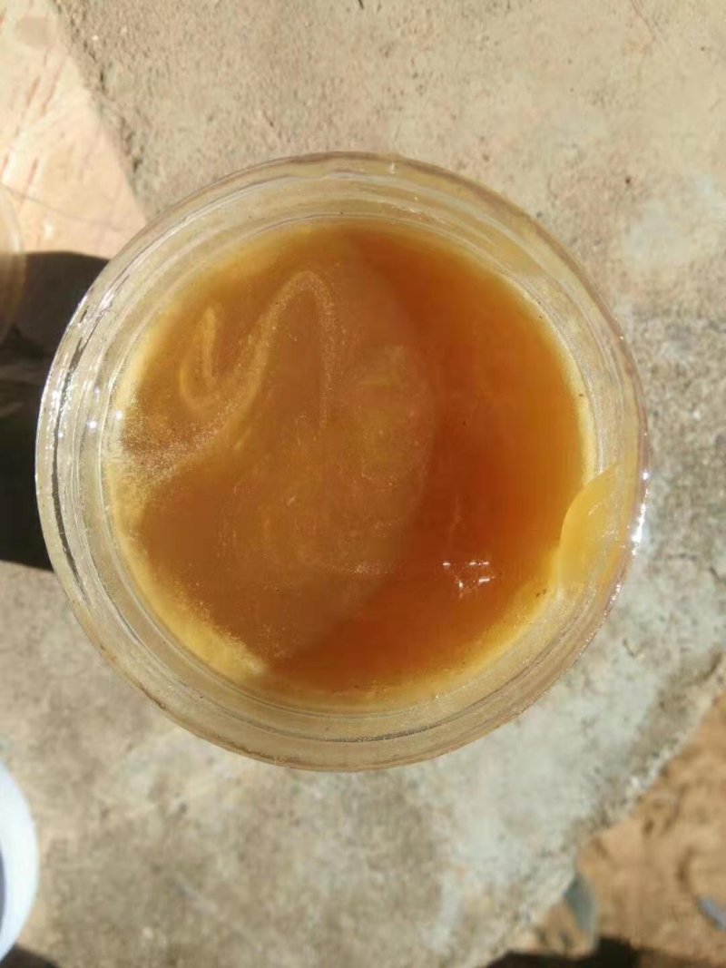 云南纯野生蜂蜜，假一赔十，一斤装，进期量稍大，价位优美。