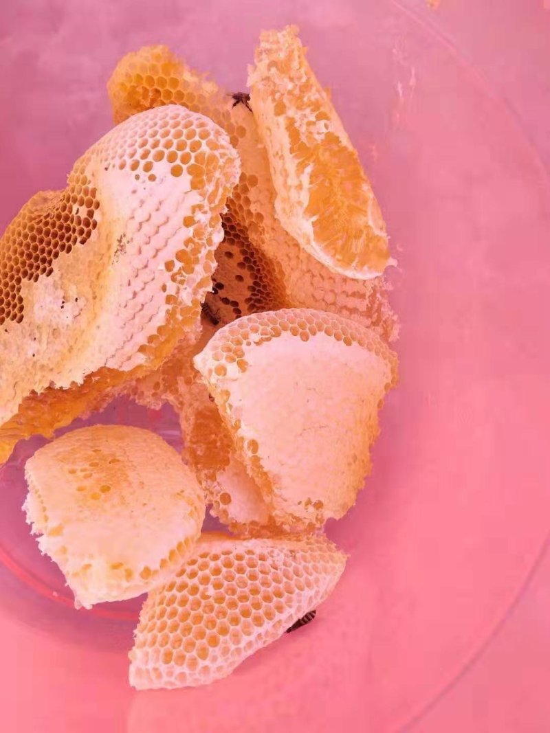 云南纯野生蜂蜜，假一赔十，一斤装，进期量稍大，价位优美。