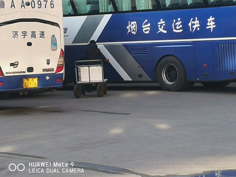 【有好货】烤兔专用白条，新鲜现杀，24小时发货，良心厂家