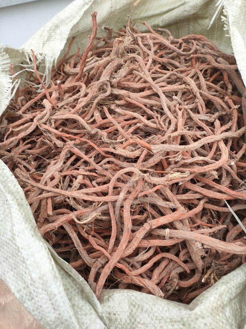 大量收购鲜丹参安徽，河南，山东优先