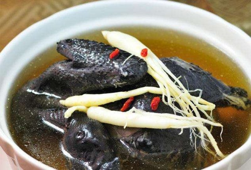 山地土鸡