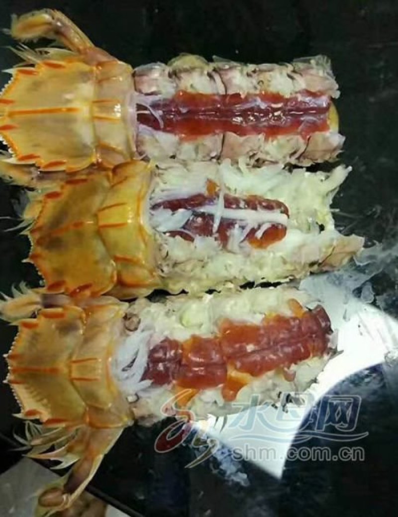 渤海湾特产优质皮皮虾，爬虾