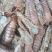 渤海湾特产优质皮皮虾，爬虾