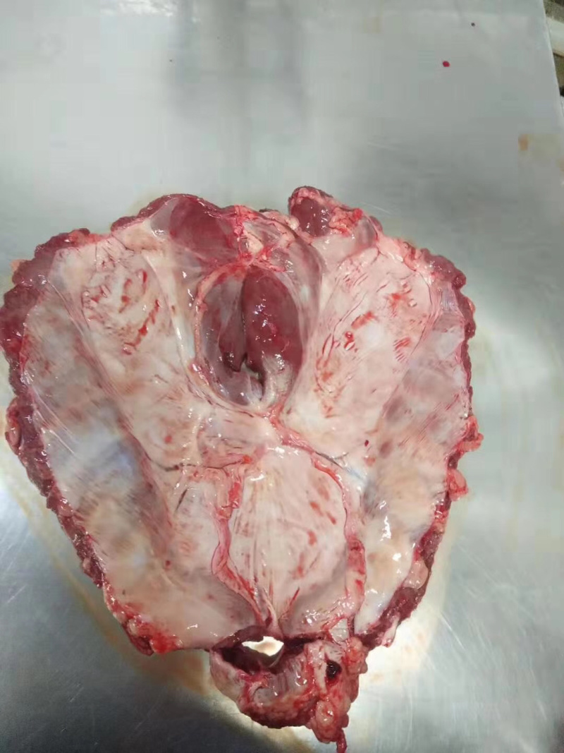 连杆肉新鲜格栅肉鲜货价格随行就市