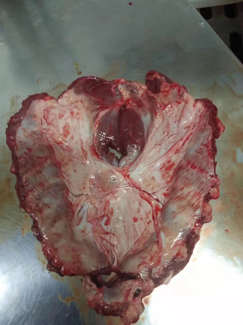 连杆肉新鲜格栅肉鲜货价格随行就市