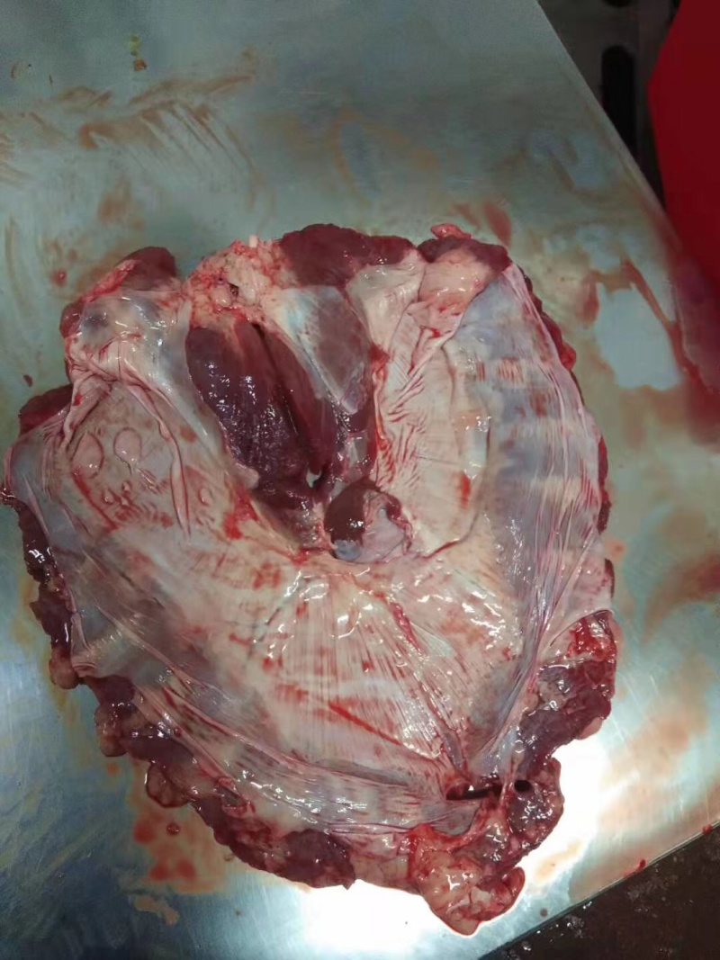 连杆肉新鲜格栅肉鲜货价格随行就市