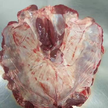 连杆肉新鲜格栅肉鲜货价格随行就市