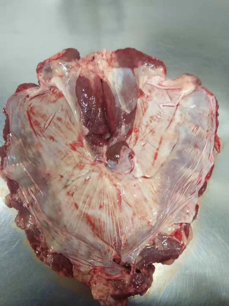 连杆肉新鲜格栅肉鲜货价格随行就市