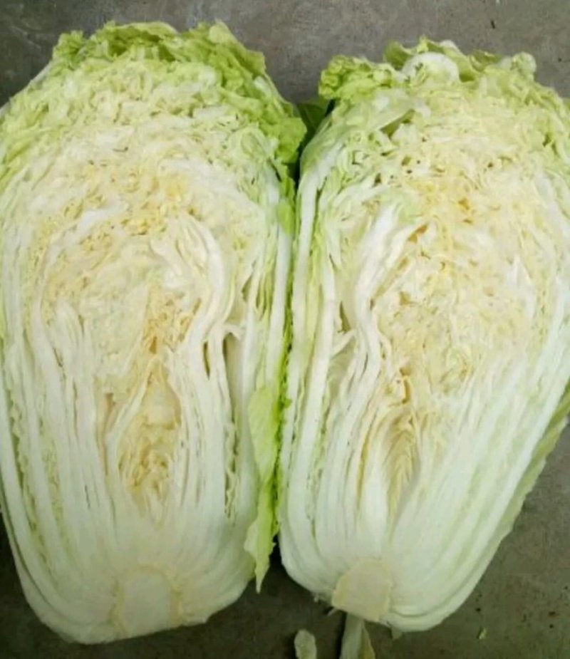 产地直销，代发全国，德高101，大白菜，净菜7斤以上