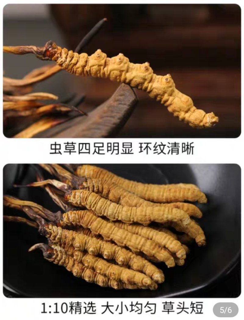 西藏天然虫草，原头货