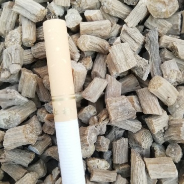 牛膝卒子