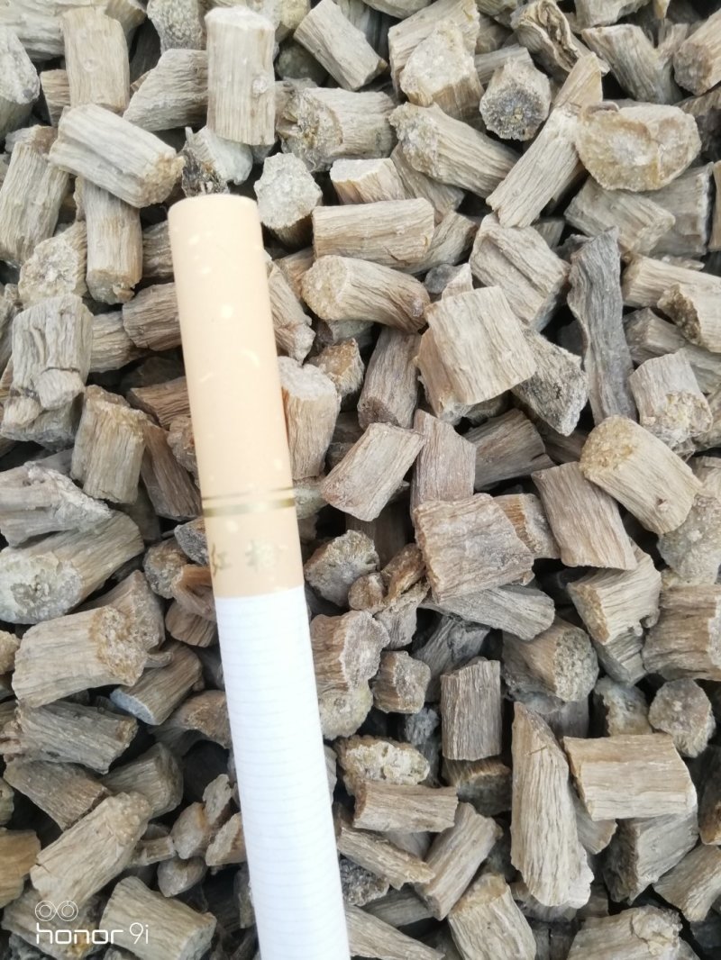 牛膝卒子