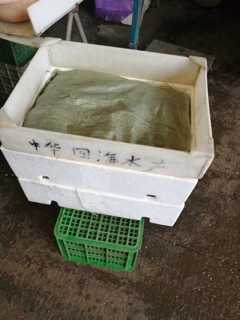 湖北小龙虾，半肉虾，空壳虾种虾大量面议产地直销。
