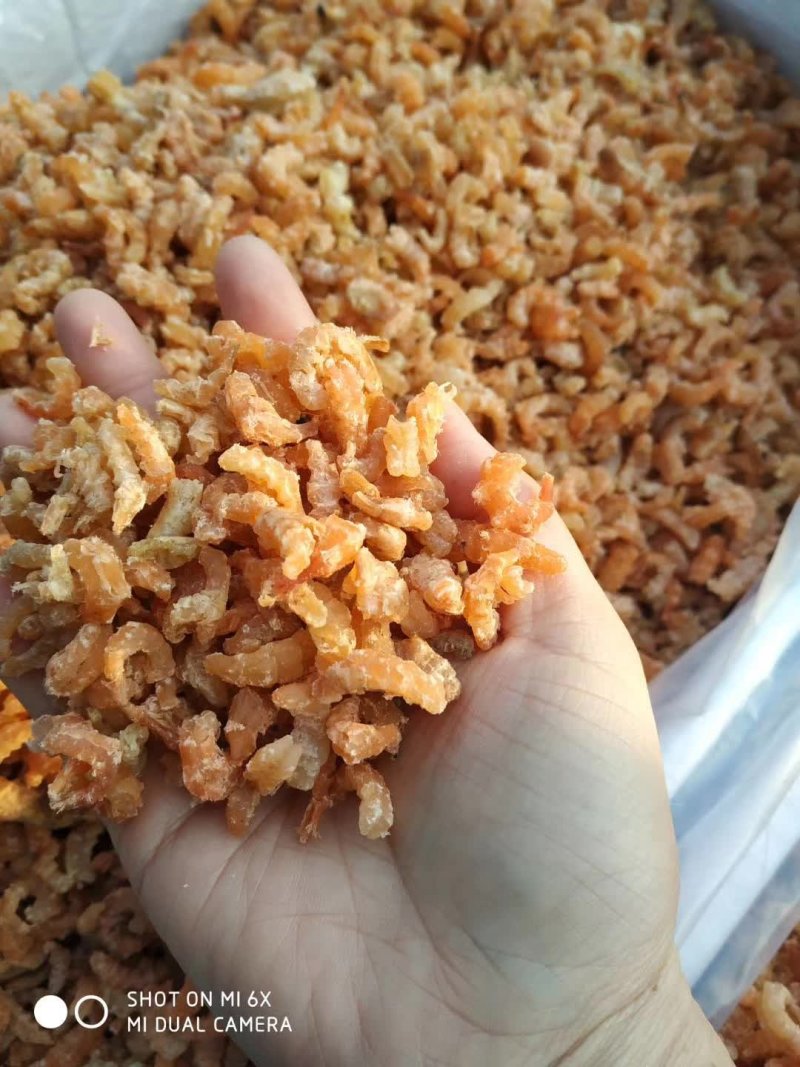 渤海湾首星水产批发商行海米