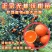 橘子苗当年结果全国包邮。现挖现卖，保证质量纯度