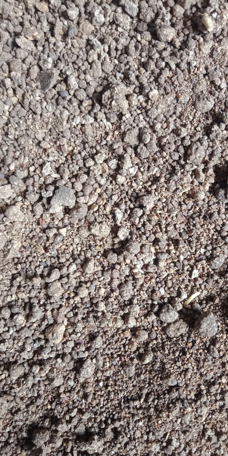 长年大量现货，二次，花生粕
