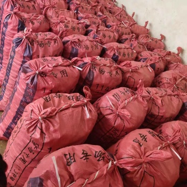 广西贵港特蹄13～14个一斤有意联系我视频看货