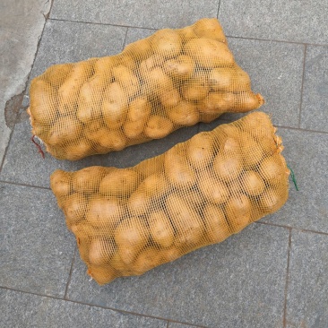 土豆