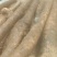 山药