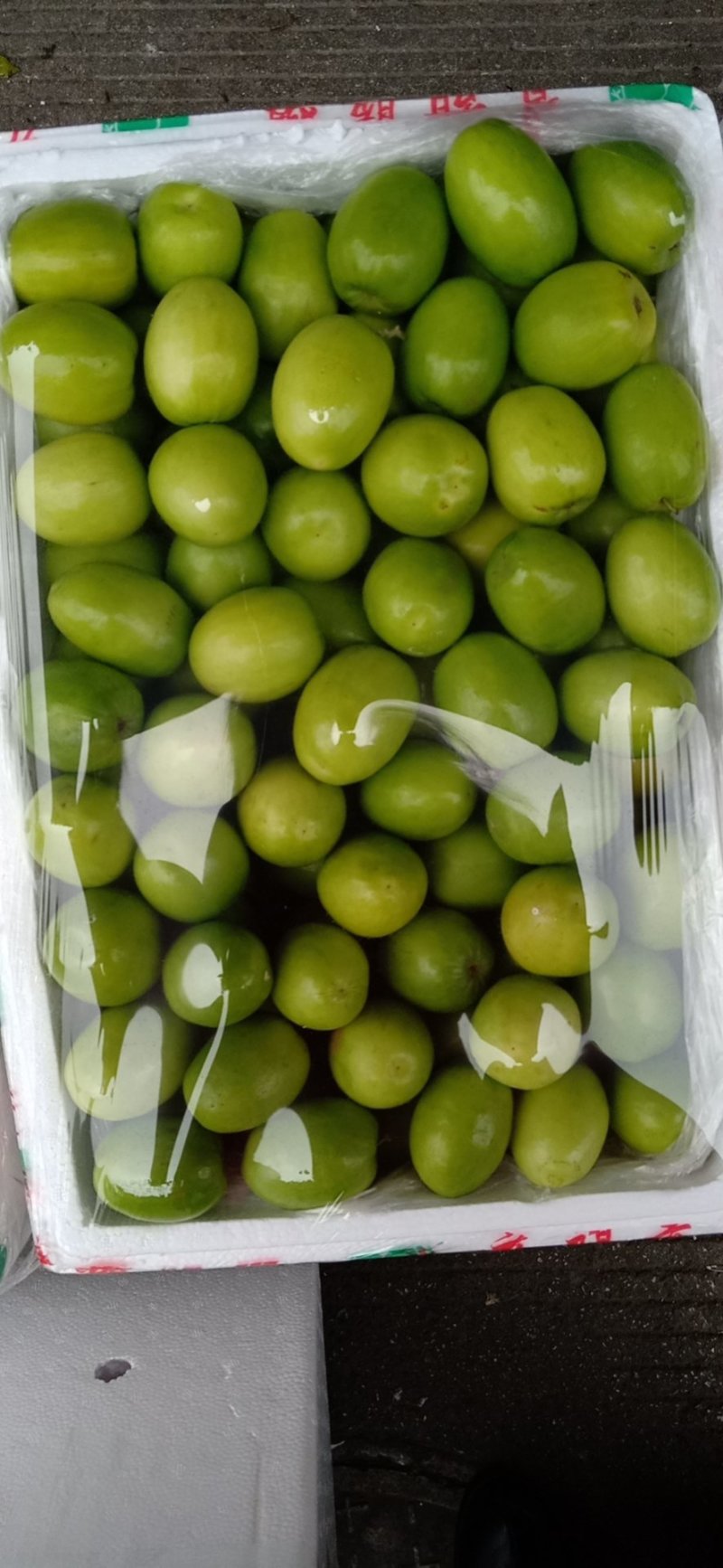 青枣