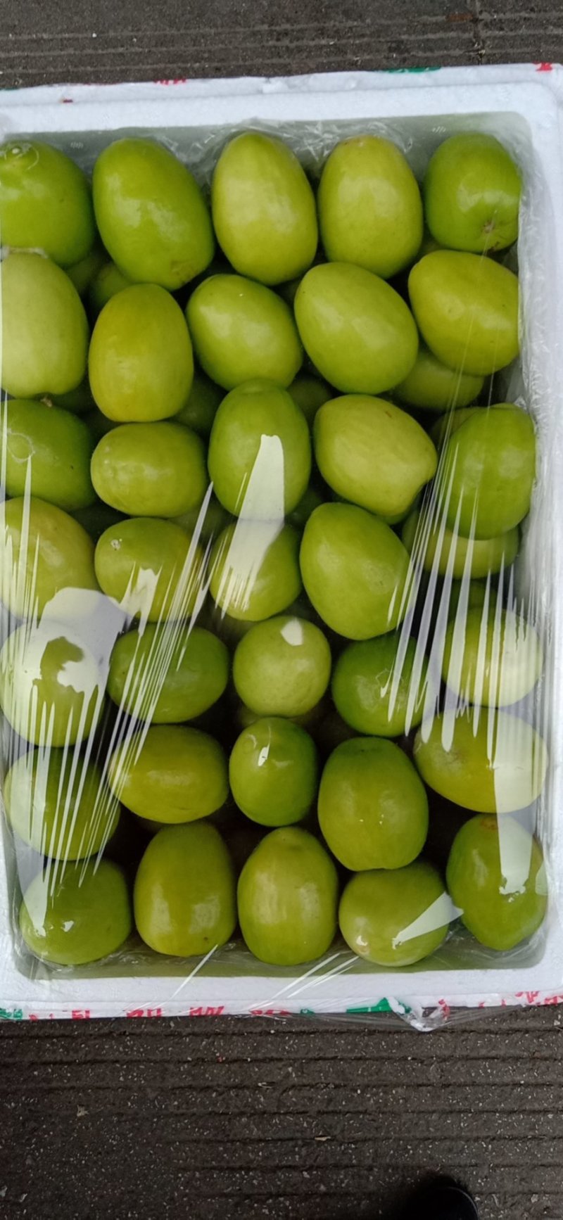 青枣