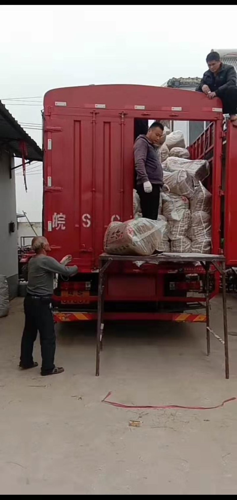 纯手工红薯粉丝牛肉汤专用粉丝厂家直销