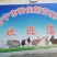 批发能圈养散养的比利时兔，杂交野兔，公羊兔，新西兰兔兔苗