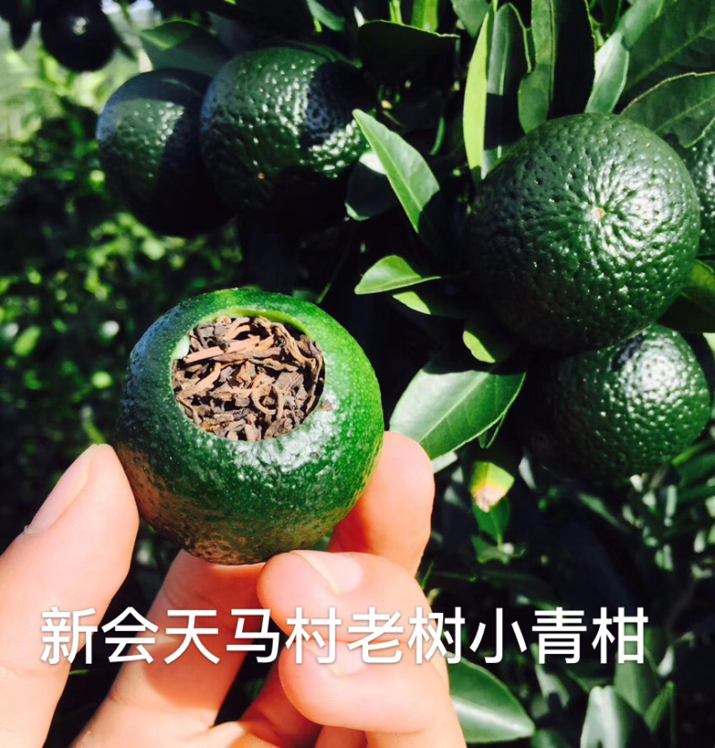 包邮新会美泉金丹小青柑普茶正宗新会天马老树小青柑