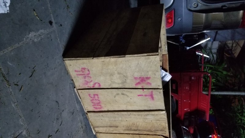 缅甸茶树野生螃蟹脚