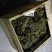缅甸茶树野生螃蟹脚