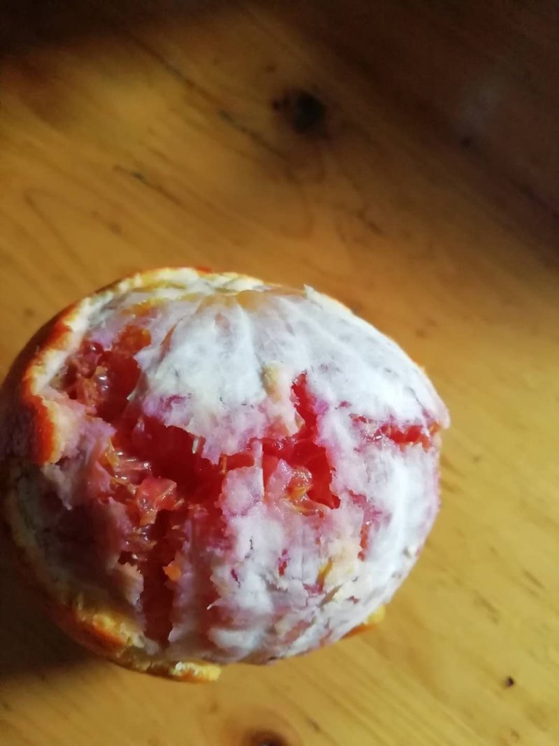 资中特产塔罗科血橙