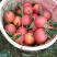 资中特产塔罗科血橙
