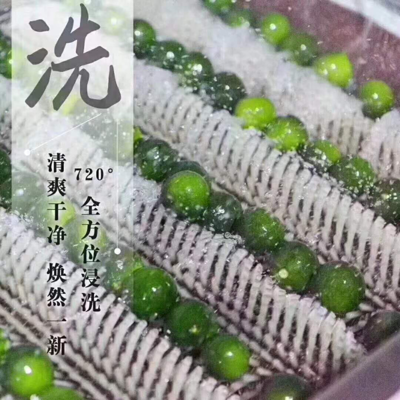 新会君和柑郎小青柑普茶正宗新会天马老树小青柑