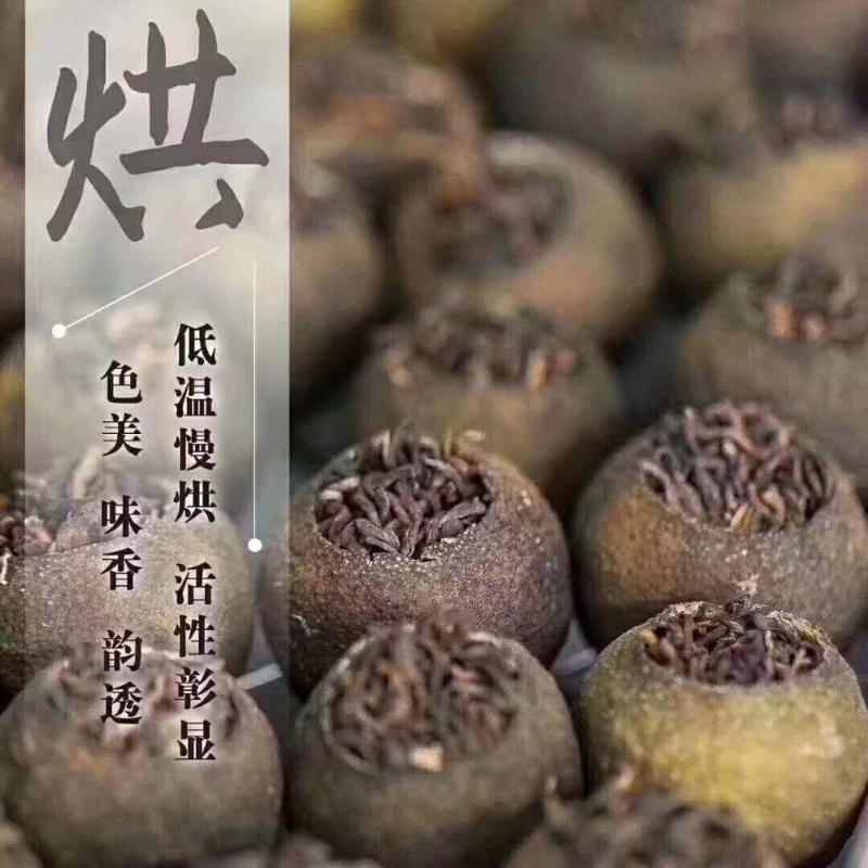新会君和柑郎小青柑普茶正宗新会天马老树小青柑