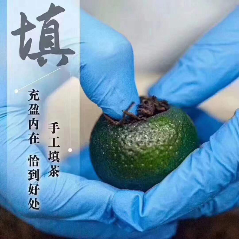 新会君和柑郎小青柑普茶正宗新会天马老树小青柑