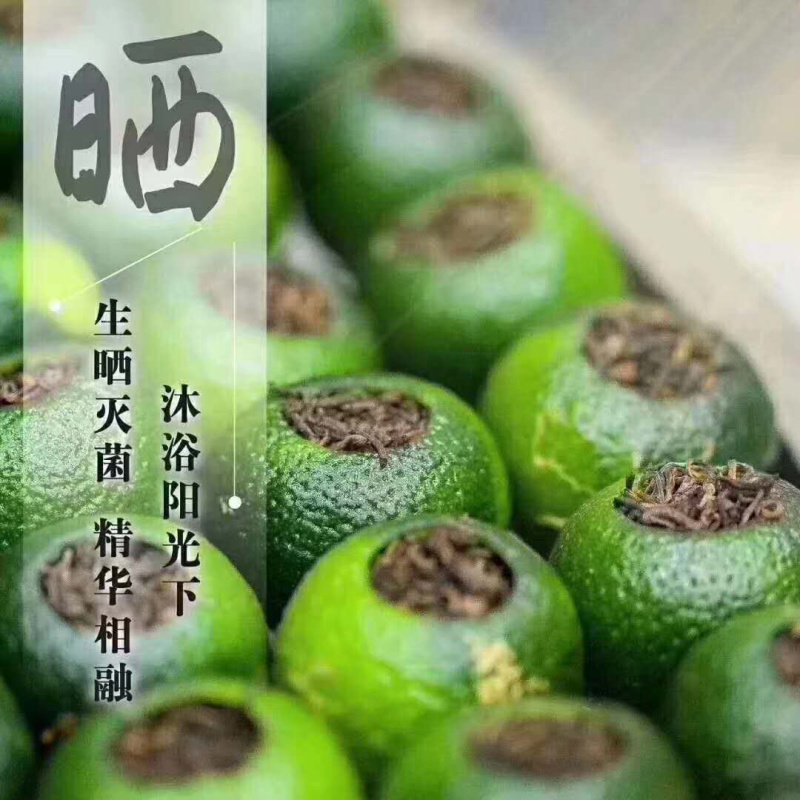 新会君和柑郎小青柑普茶正宗新会天马老树小青柑
