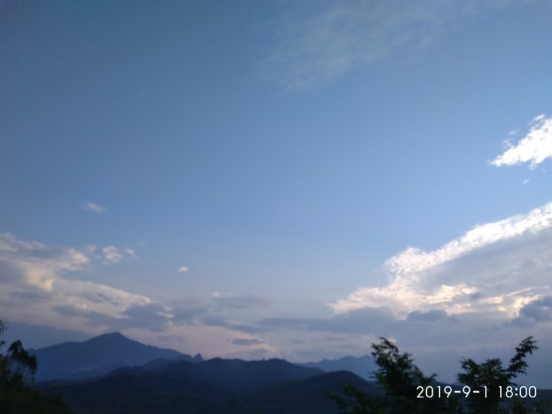 千亩以上山地转包或合作经营