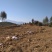 千亩以上山地转包或合作经营