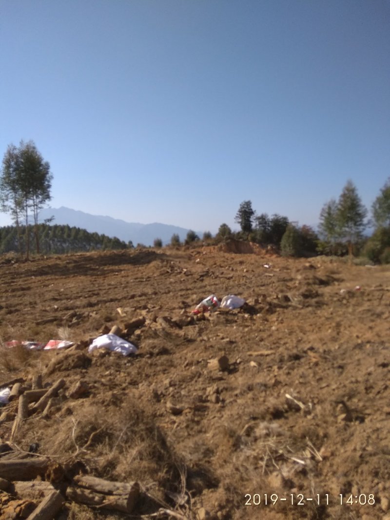 千亩以上山地转包或合作经营