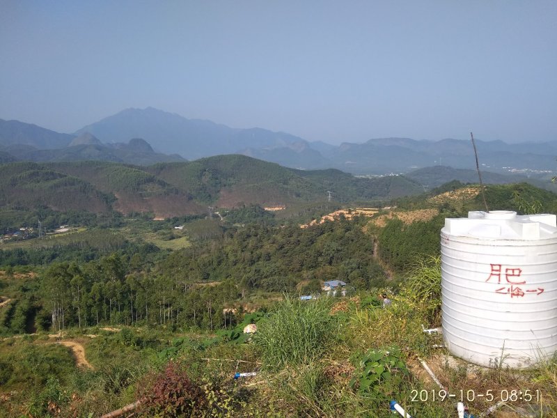千亩以上山地转包或合作经营