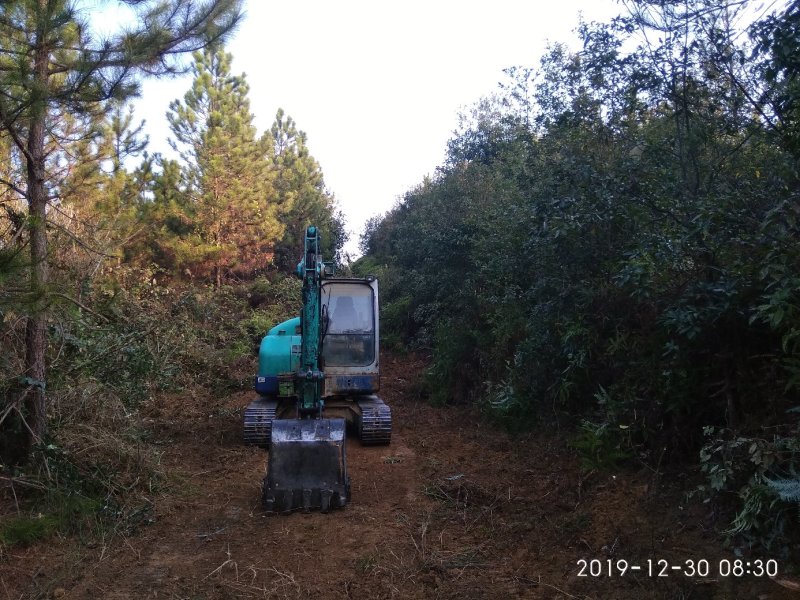 千亩以上山地转包或合作经营