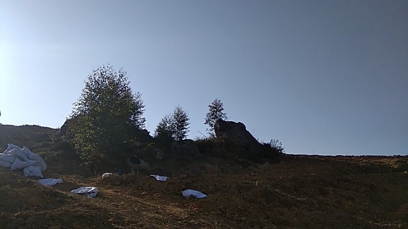 千亩以上山地转包或合作经营
