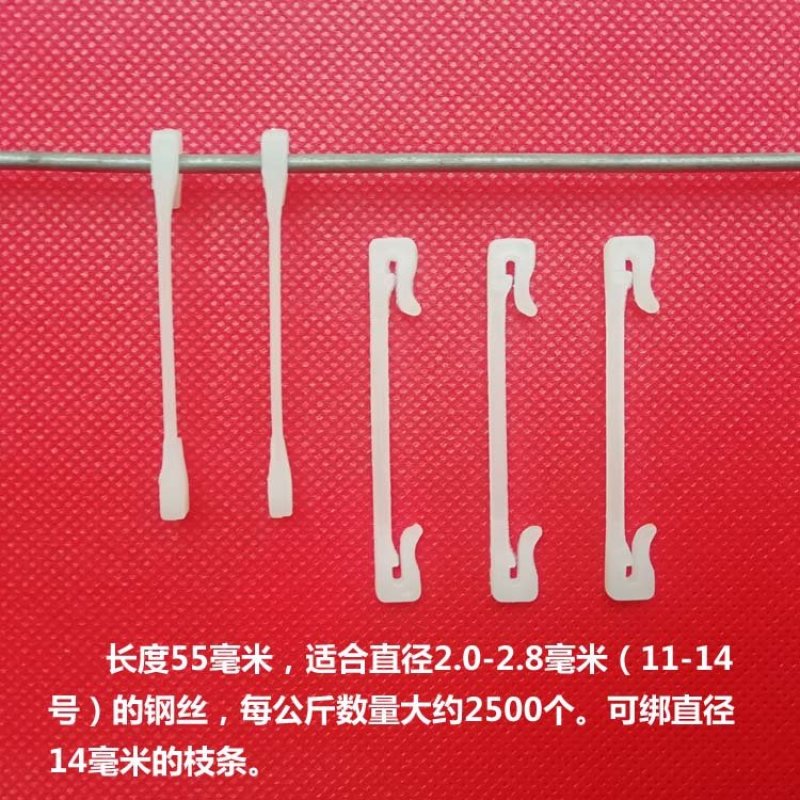 自色五厘米绑枝卡